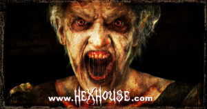 hex house 1200x630 fb mary 1